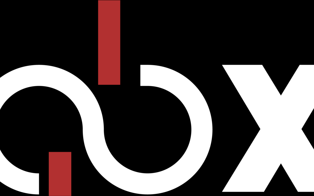 AUTOMOTIVE BUSINESS EXPERIENCE